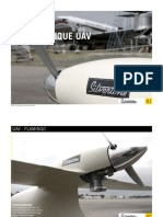 Silvertone Flight Test Report PDF