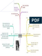 Pared Celular PDF