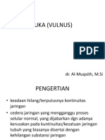 LUKA (VULNUS).pdf