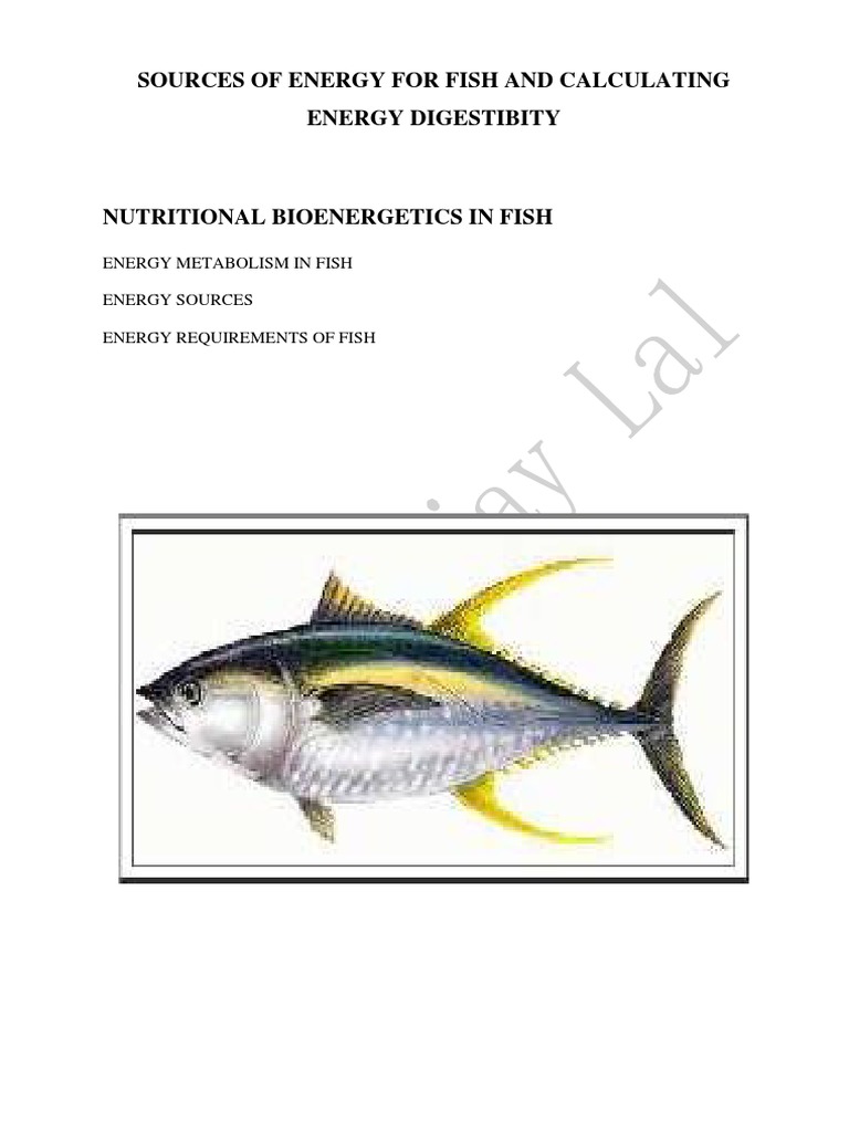 Energy Sources and Metabolism in Fish | PDF | Carbohydrates | Lipid