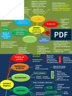 Mapa Conceptual Gestion de Las Personas 2018