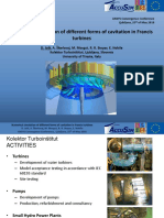 Numerical Simulation of Different Forms of Cavitation in Francis Turbines