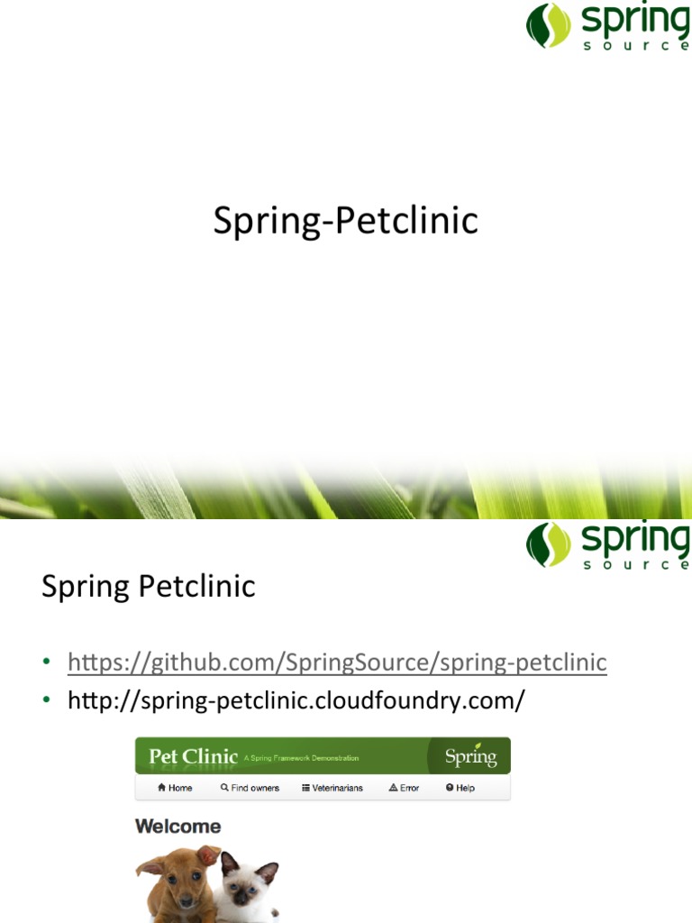 Spring Petclinic Architecture Overview | PDF | Spring Framework ...