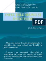 Infectiile-Mainii-Si-Degetelor.pptx