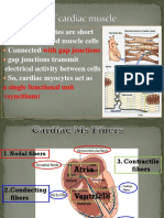 Properties of Cardiac Muscle