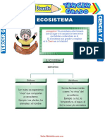 El Ecosistema para Tercer Grado de Primaria