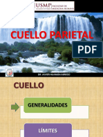 Cuello Parietal 08 03 19 PDF