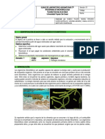 Guia de Identificacion de Microorganismos Fotosinteticos