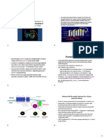 Reseptor Terkait Protein G PDF
