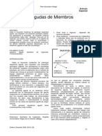 Isquemia Aguda Miembro Inferior PDF
