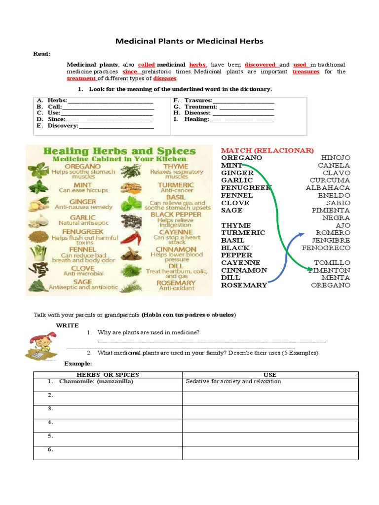 Medicinal Plants and Their Uses | PDF | Medicinal Plants | Herbs And Spices