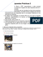Trabajo Icaf 1 PDF