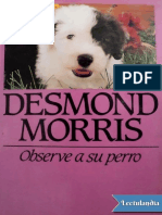 observe a su perro Morris.pdf