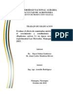 Rabano Abonos PDF