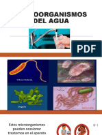 MICROORGANISMOS DEL AGUA (1)