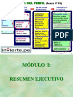 FormProy_IDENTIFICACION-FORMULACION