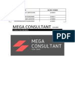 Mega Consultant Background