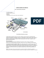 Como fazer uma piscina.pdf