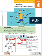 Partes Del Cuerpo Humano