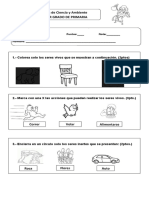 prueba-de-ciencia-y-ambiente.docx