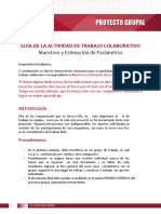 Pautas Proyecto Grupal Estadistica Inferencial-1 PDF