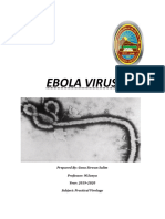 Ebola Virus: Prepared By: Gona Sirwan Salim Professor: M.Sonya Year: 2019-2020 Subject: Practical Virology