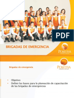 Brigadas de Emergencia - Positiva 2009 (19 Diapositivas)