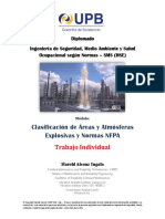 Microsoft Word - Trabajo Individual.docx.pdf
