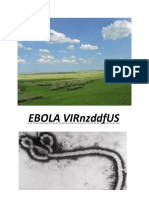 Ebola Virus History and Treatment