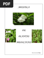 Apostila-plantas-medicinais-prof-jose-carlos-viana