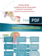 Nervio Mandibular