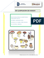 Clasificacion Hongos (Isa)