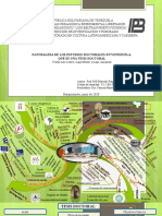 Mapa Mental Estudios Doctorales VERSIÓN DEFINITIVA