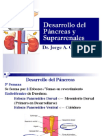 Páncreas y Suprarrenales