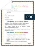 4 PUNTOS DE REFERENCIA DE COLUMNA VERTERBRAL.pdf