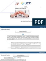 Derecho de Familia - Sesión 10