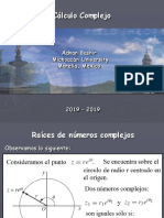 Calculo Complejo 4 PDF