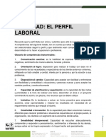 Guia Actividad Perfil Laboral