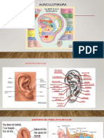 Presentacindeauriculoterapiamayo18syraavendao PDF
