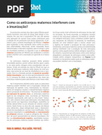 Como os anticorpos maternos interferem com a imunização