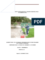 Informe Preliminar Control de Asentamien PDF