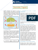 1° Reino Plantae Nutricion y Fotosintesis GT PDF