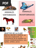 Animales Vertebrados 2 Basico