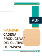 TRABAJO PRESENTACION DE DIAGNOSTIO DE Papaya.docx