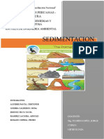 SEDIMENTACION.docx