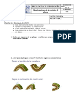 4ESO-BG-Ex8_ManifestacionesTectonicaPlacas