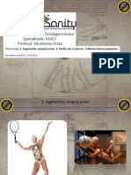 curs-2-anatomie.pdf