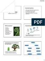 Kingdom Plantae: Essential Questions