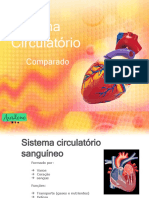 Sistema circulatório: funções, classificação e tipos em invertebrados e vertebrados