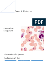 KP Gabungan Malaria Nematoda PDF